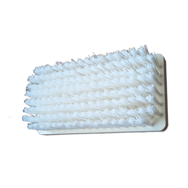 Brosse blanche  de rechange pour eco one