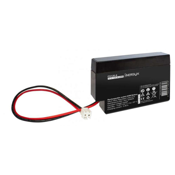 Batterie rechargeable 12v