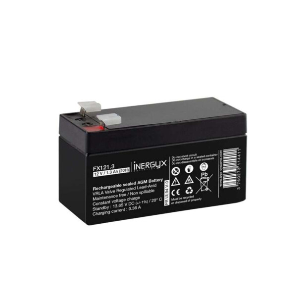 Batterie rechargeable 12v