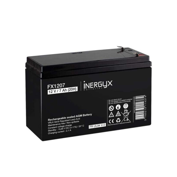 Batterie rechargeable 12v