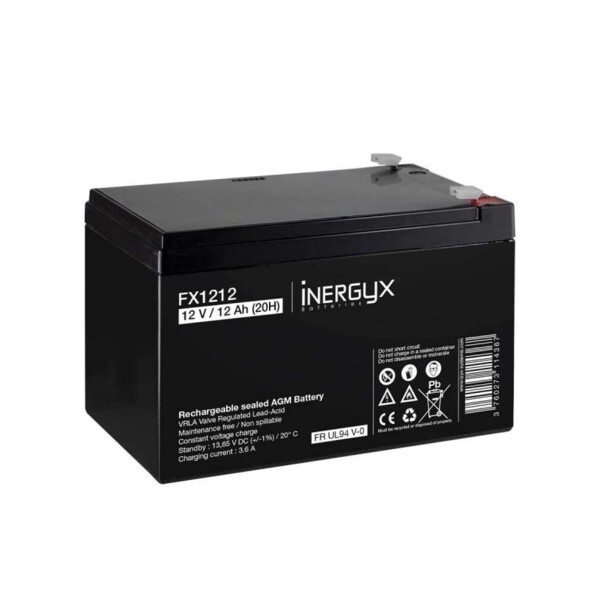 Batterie rechargeable 12v