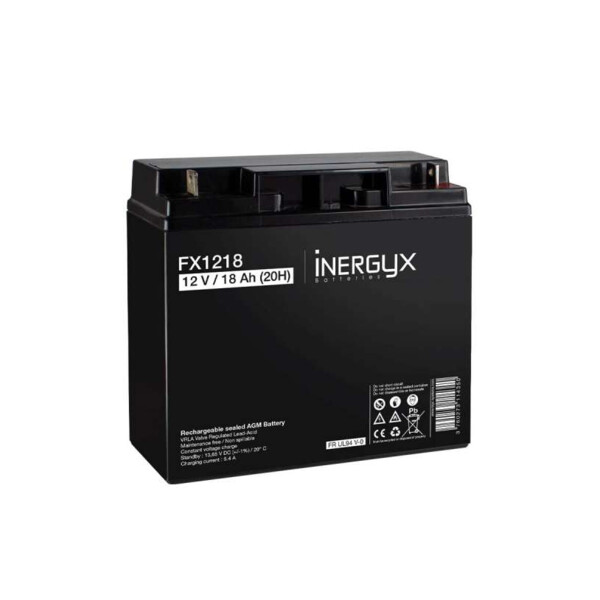 Batterie rechargeable 12v