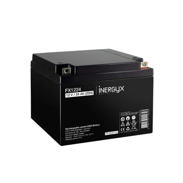 Batterie rechargeable 12v