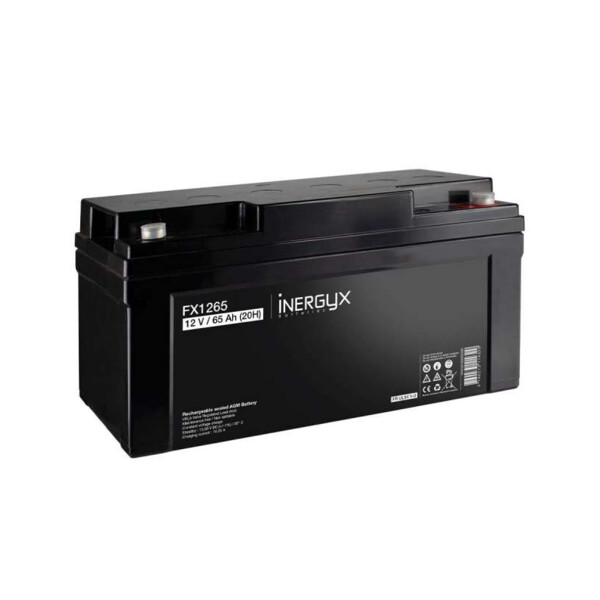 Batterie rechargeable 12v