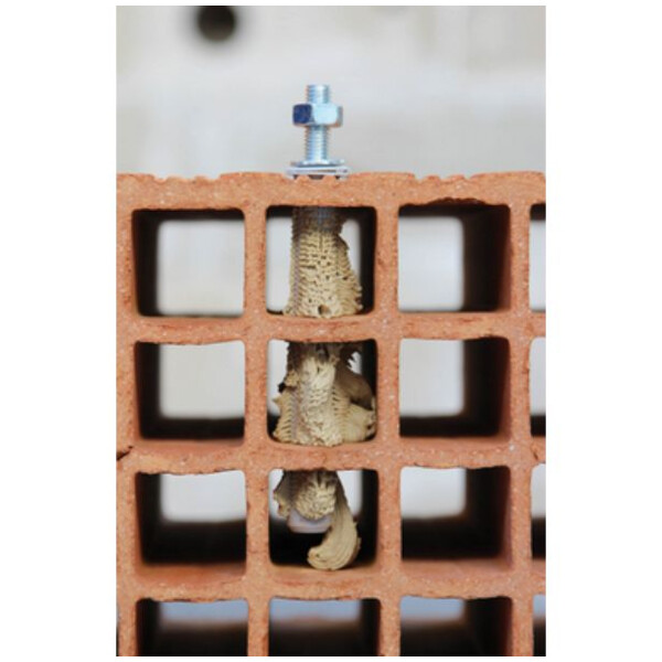 Foret sds plus wallster