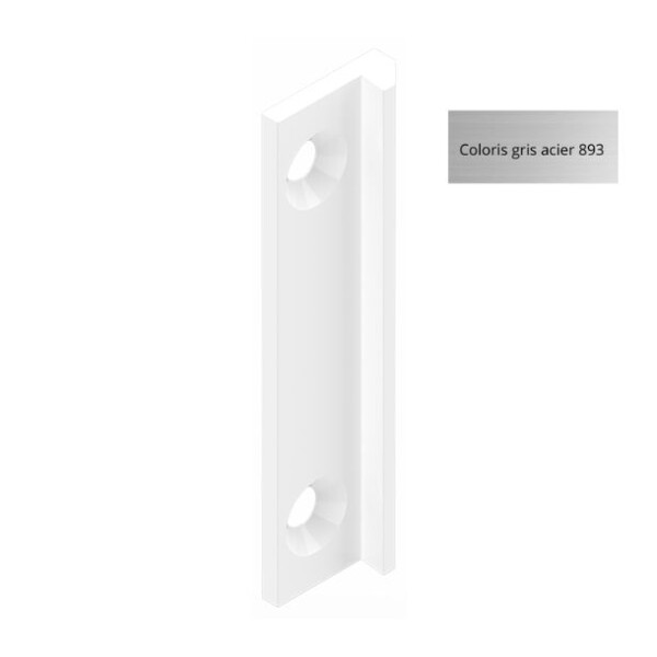 Gâche fermeture en applique 6153