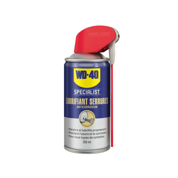 Lubrifiant serrure 250ml net (systeme pro)