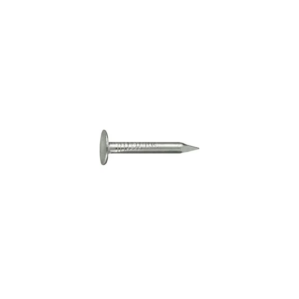 Pointe tete extra large galva