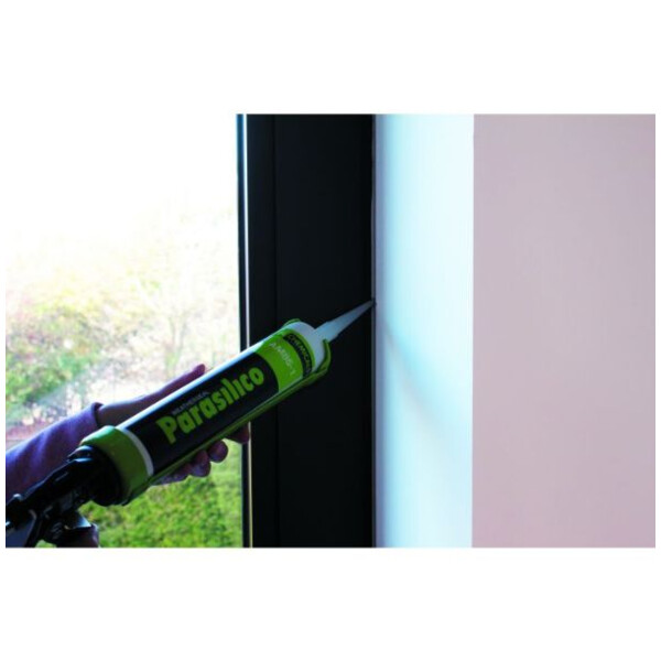 Mastic silicone parasilico am85-1