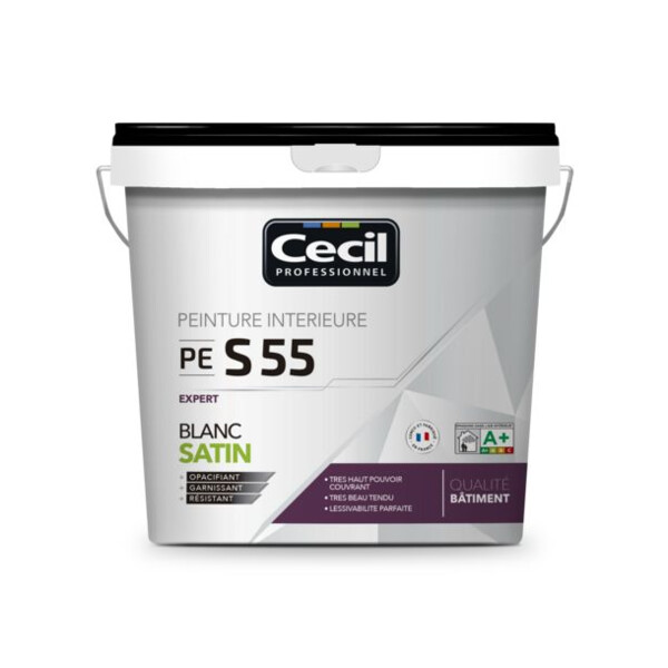 Peinture de finition qualite pro expert 55