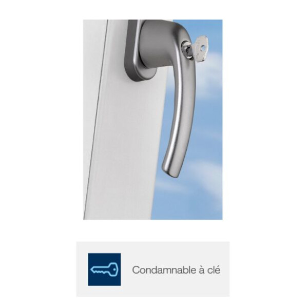 Poignée de fenêtre new-york  tbt4 à clé