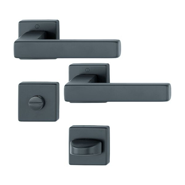 Poignée sur rosace toulon