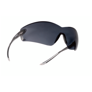 LUNETTE DE PROTECTION COBRA Bolle Protection