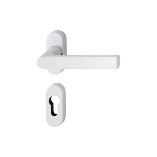 POIGNÉE SUR ROSACE OVALE  HAMBURG Hoppe