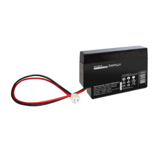 Batterie rechargeable 12V Izyx Systems