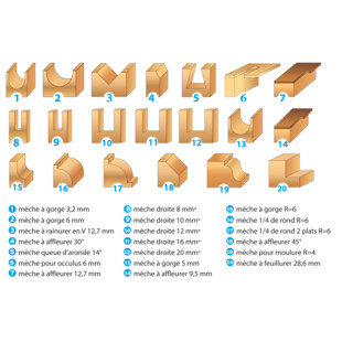 MECHE DE DEFONCEUSE ASSORTIES QUEUE 8 MM (COFFRET DE 20) Leman