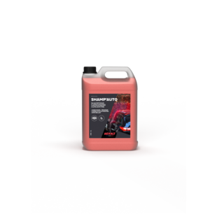 SHAMP'AUTO - SHAMPOING CARROSSERIE CONCENTRE Aexalt