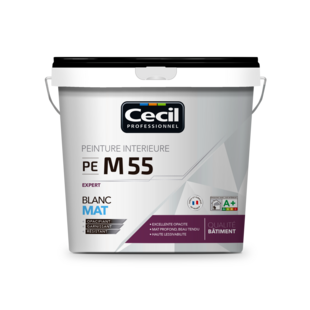 PEINTURE DE FINITION QUALITE PRO EXPERT 55 V33 - Cecil