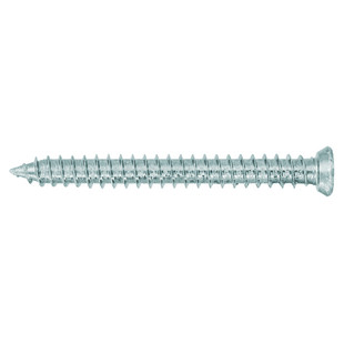 VIS AUTO TARAUDEUSES WHO TF TORX 30 (BOITE DE 100) Rawl