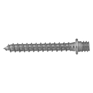 VIS A BOIS PVB BTE 100 Fischer