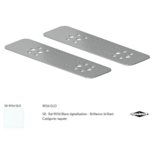 Kit de plaques pour le  remplacement des pênes par les pênes OLTRE Fapim