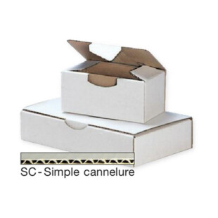 Lot 50X boites postale carton Embaltec