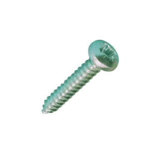 VIS TOLE TR PZ ZING BLC  DIN7981C Stafa