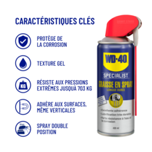 Graisse gel longue duree en spray (systeme pro)