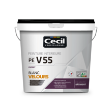 Peinture de finition qualite pro expert 55