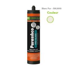 Mastic silicone pro-glass