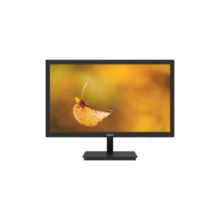 Moniteur