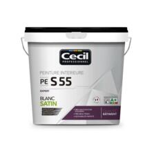 Peinture de finition qualite pro expert 55