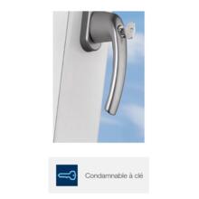 Poignée de fenêtre new-york  tbt4 à clé